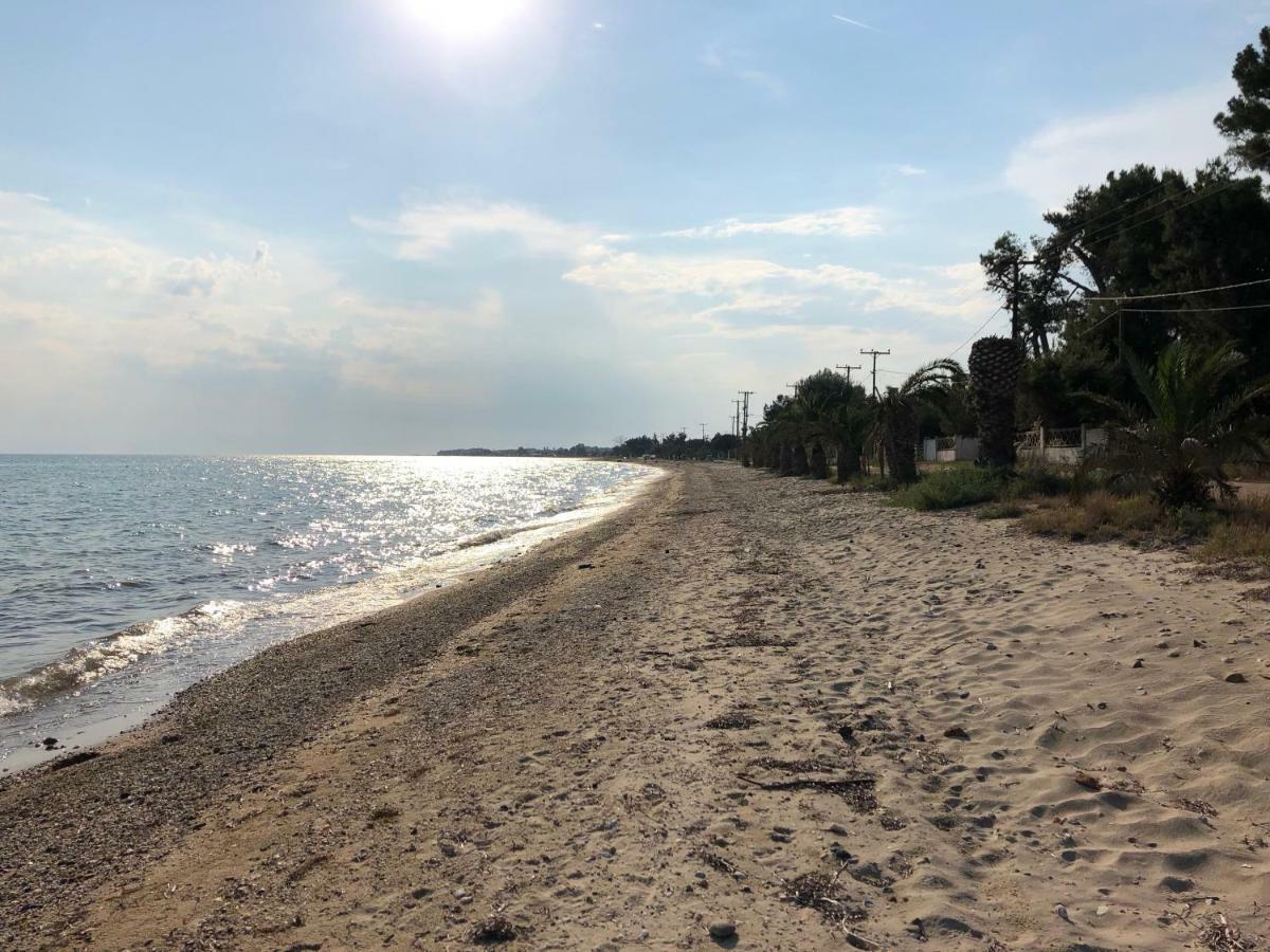 Beachfront Cottage Nea Triglia المظهر الخارجي الصورة